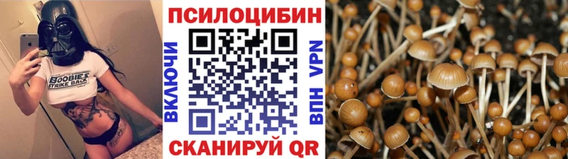 Купить где  Шатура  Галлюциногенные грибы MAGIC MUSHROOMS 